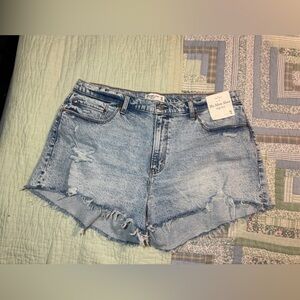 Abercrombie and Fitch Mom Shorts Denim Blue Women Shorts